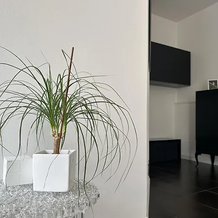 Corte Del Gelsomino - Reception Apartment Trieste